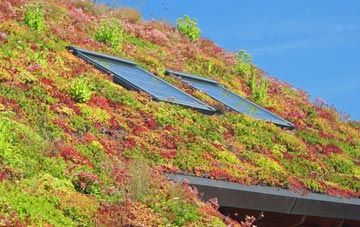 Lea By Backford living roof systems