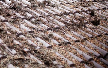 Lea By Backford roof cleaning companies