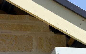 soffit repair Lea By Backford