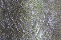 Lea By Backford fibreglass roof work